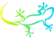 Remix Web